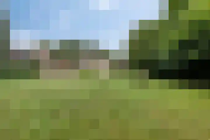 Gronausestraat 473 Glane thumbnail 70