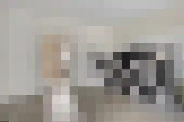Gronausestraat 473 Glane thumbnail 8