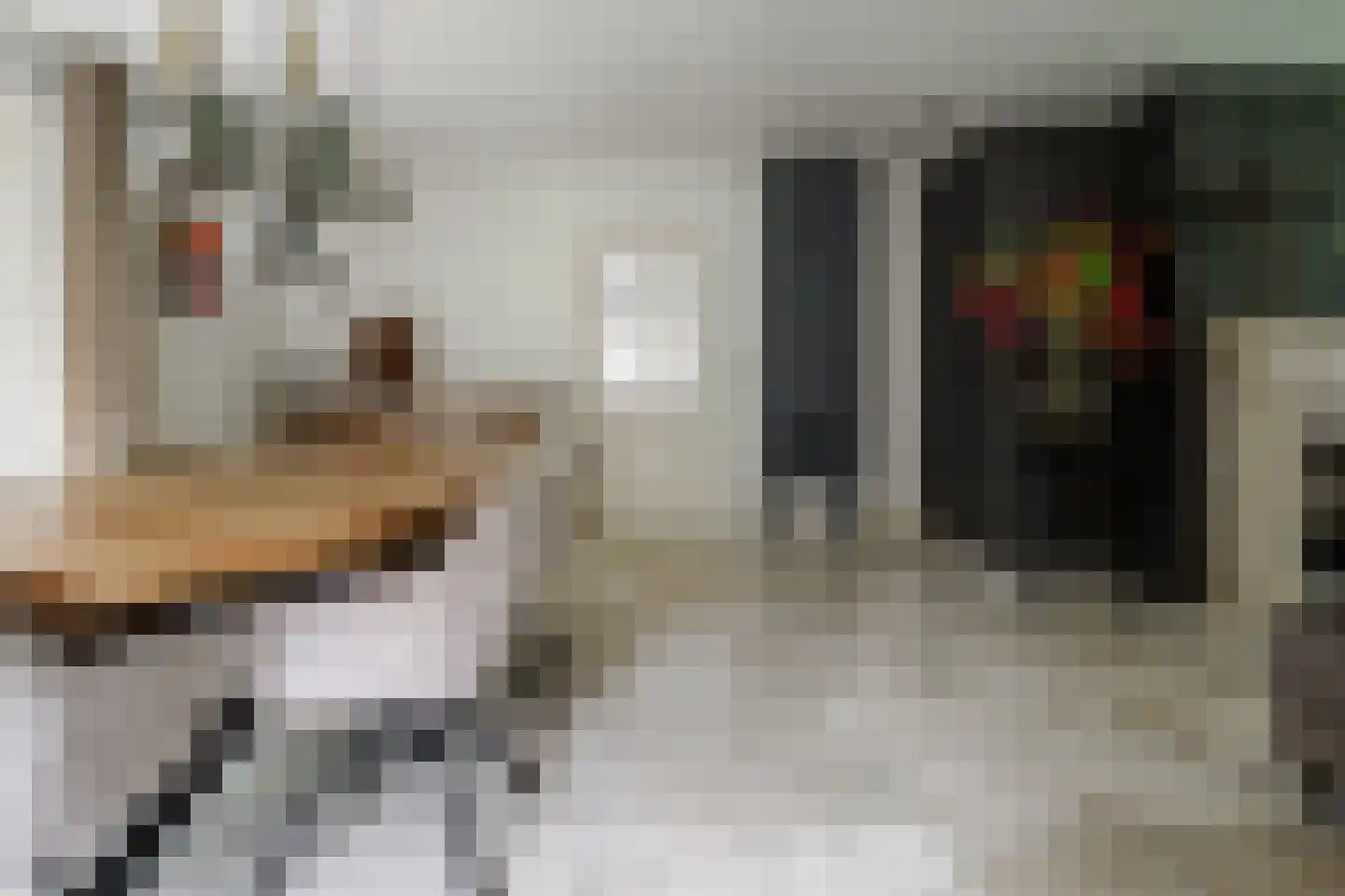 Gronausestraat 64 Losser thumbnail 19