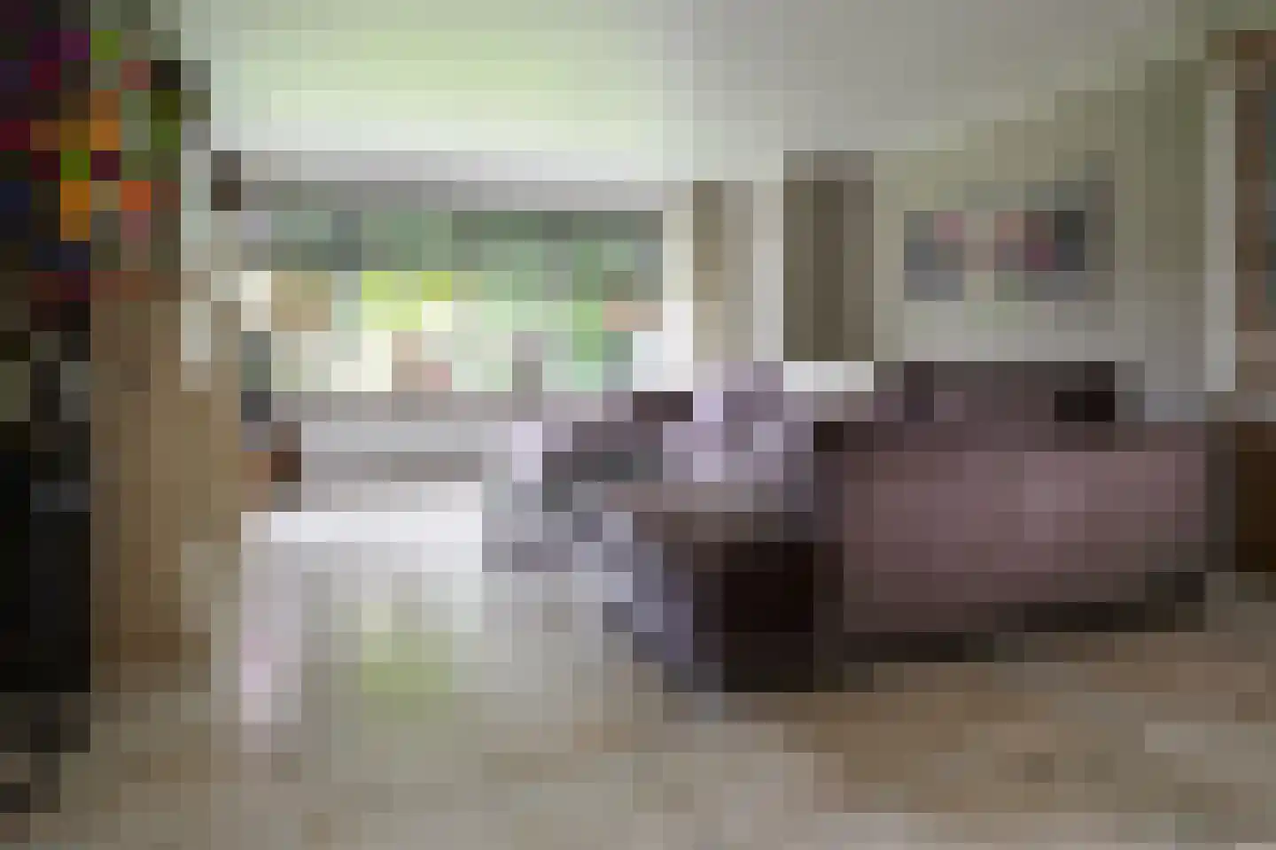 Gronausestraat 64 Losser thumbnail 22