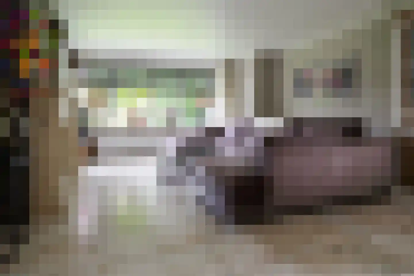 Gronausestraat 64 Losser thumbnail 23