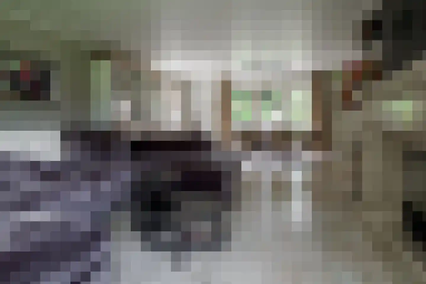 Gronausestraat 64 Losser thumbnail 25