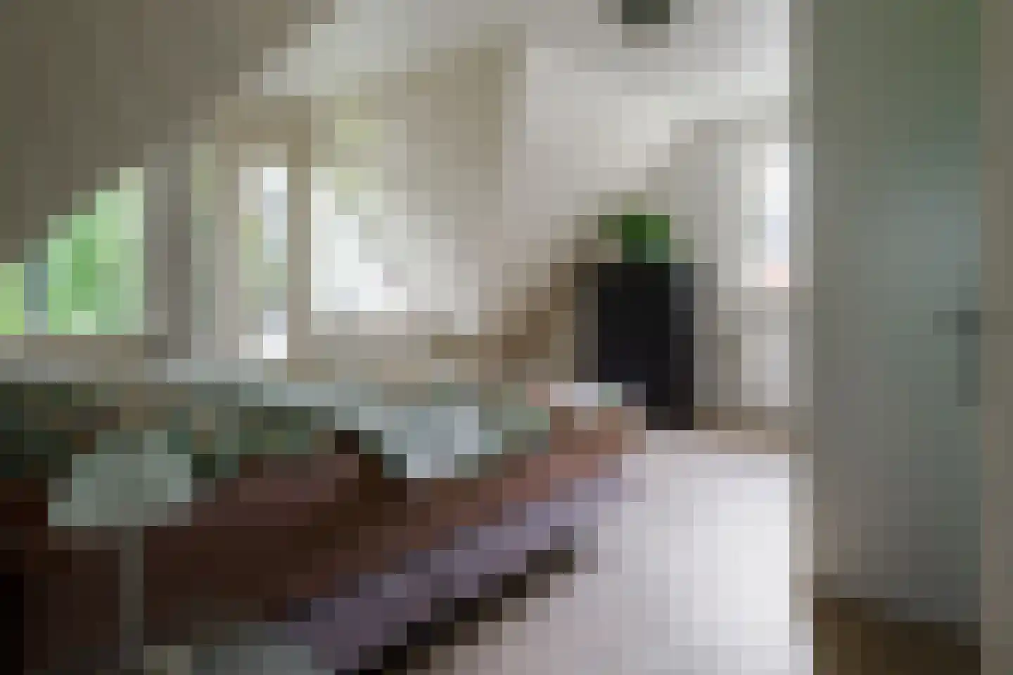 Gronausestraat 64 Losser thumbnail 27