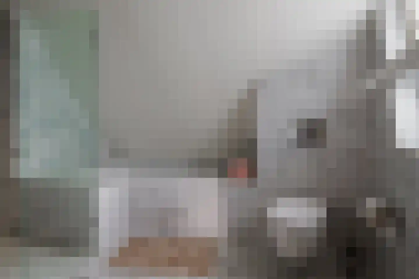 Gronausestraat 64 Losser thumbnail 36