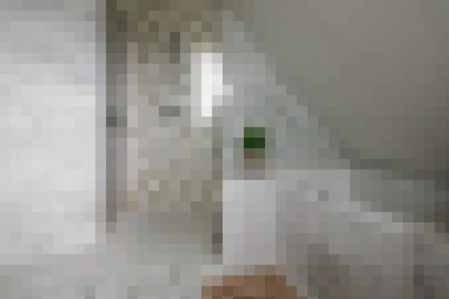 Gronausestraat 64 Losser thumbnail 37