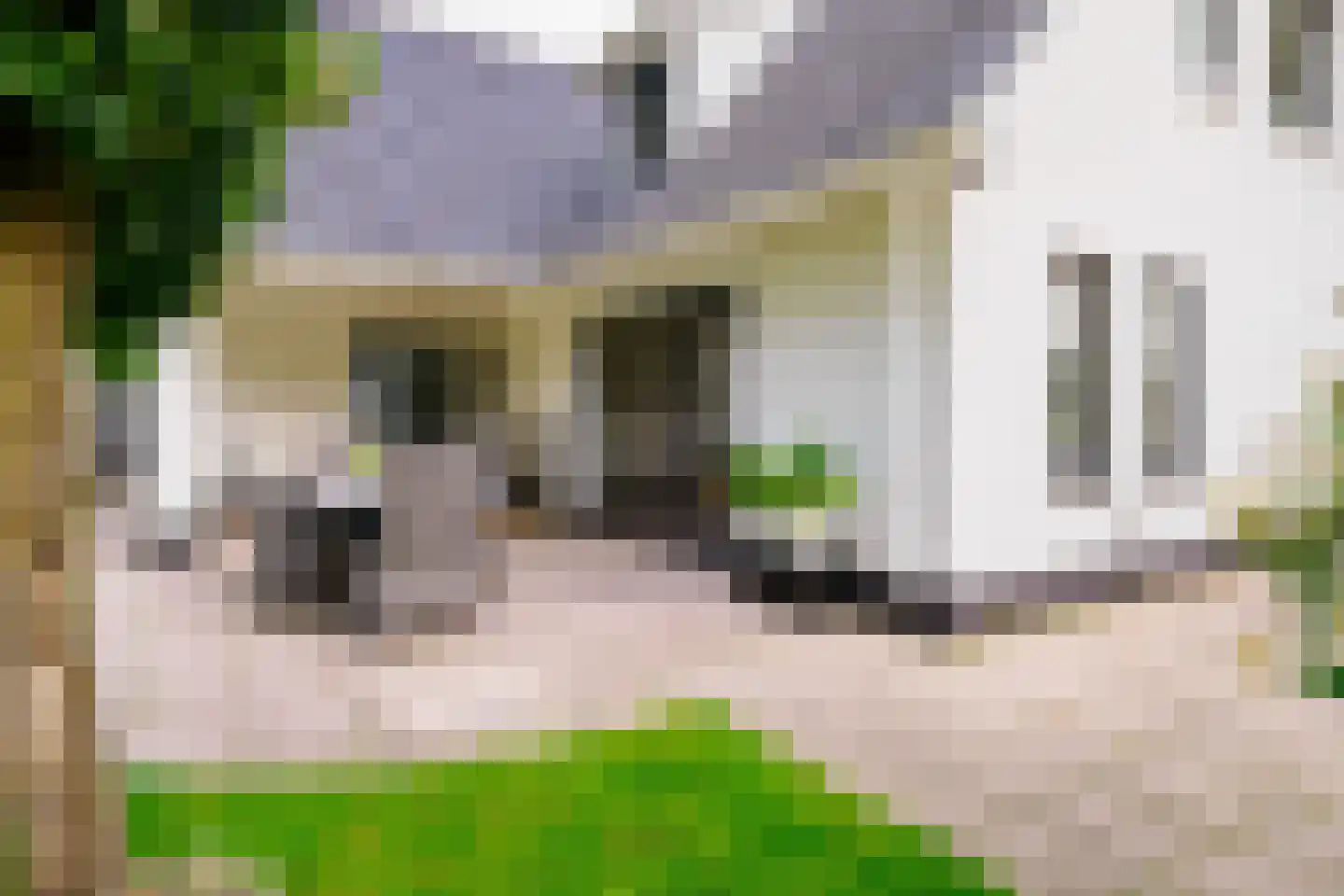 Gronausestraat 64 Losser thumbnail 41