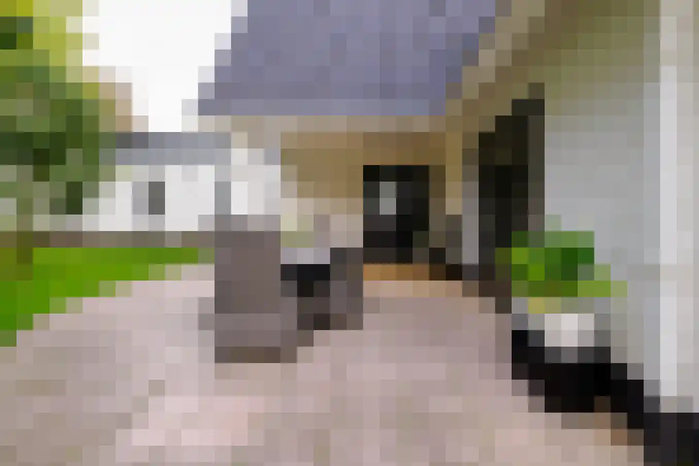 Gronausestraat 64 Losser thumbnail 44