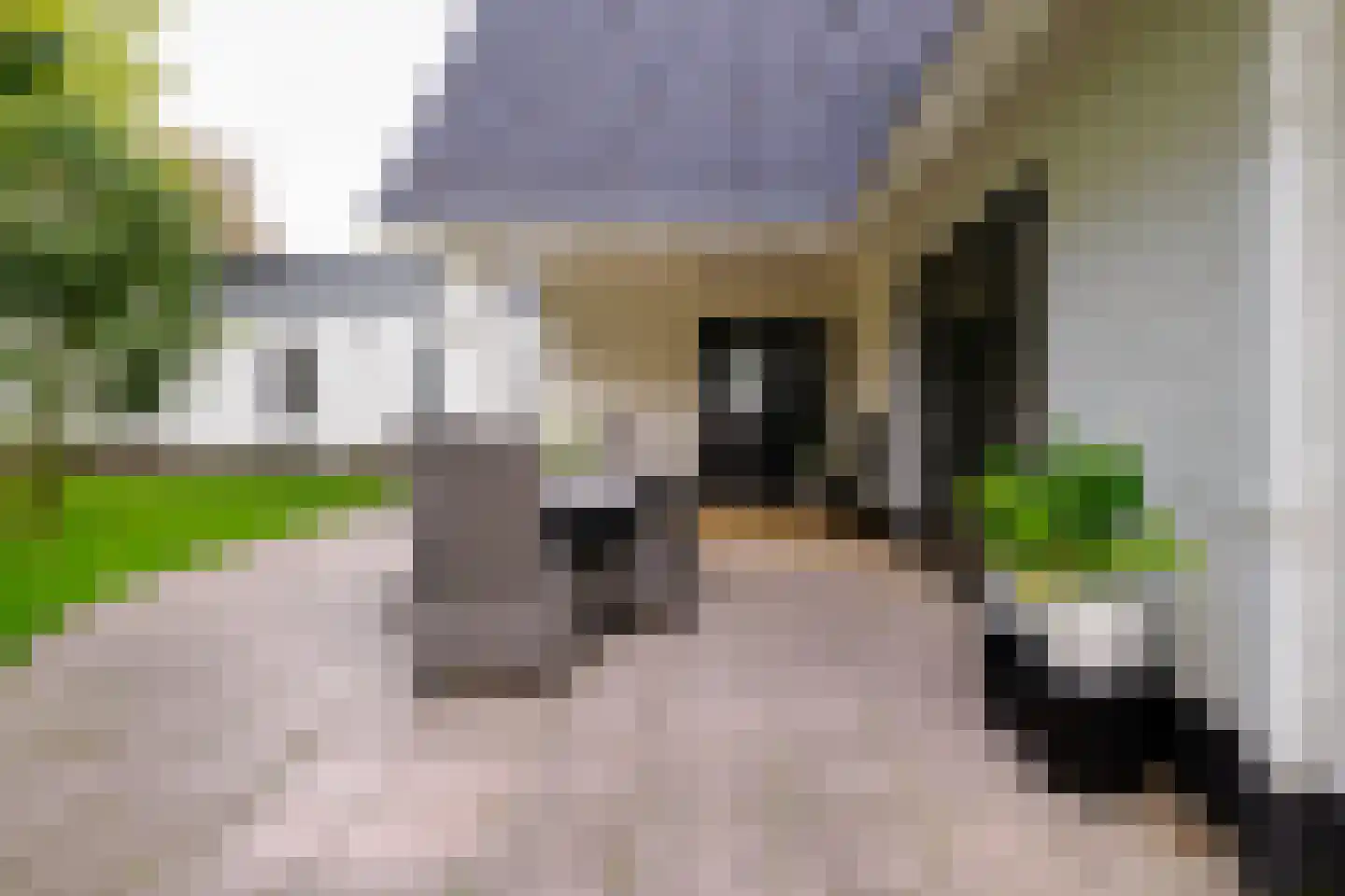 Gronausestraat 64 Losser thumbnail 45