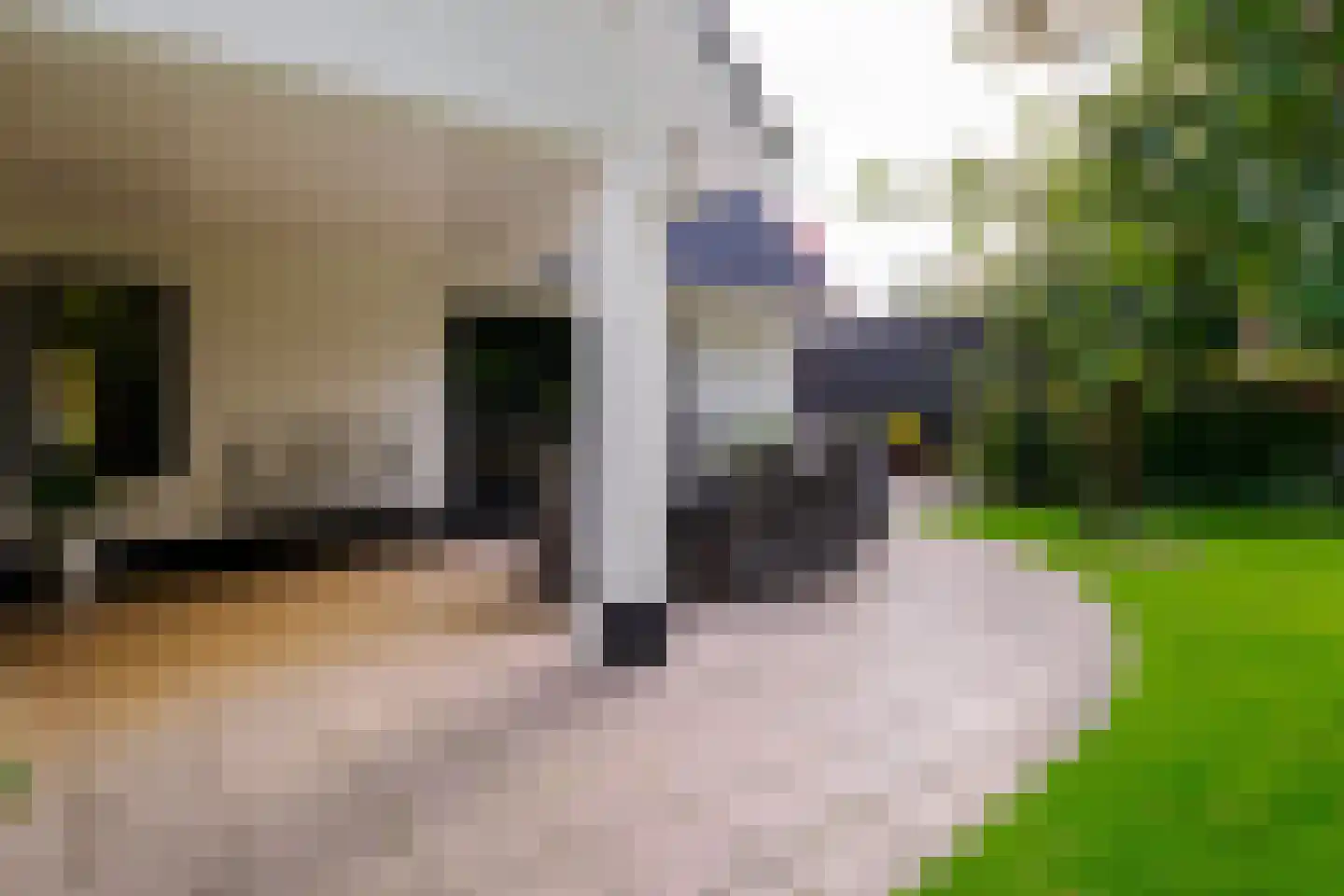 Gronausestraat 64 Losser thumbnail 46