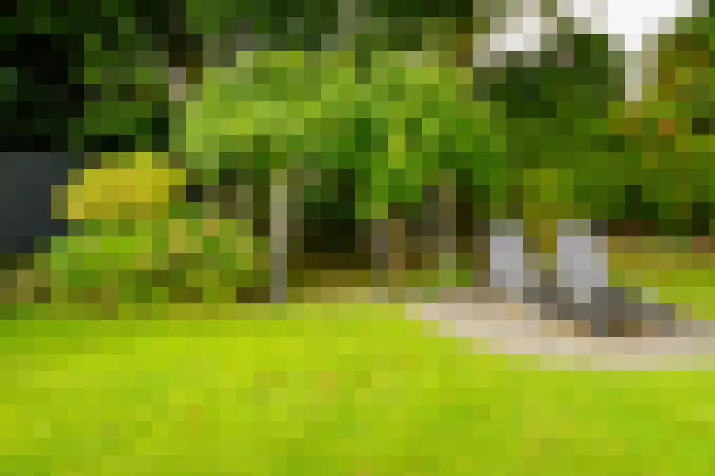 Gronausestraat 64 Losser thumbnail 50