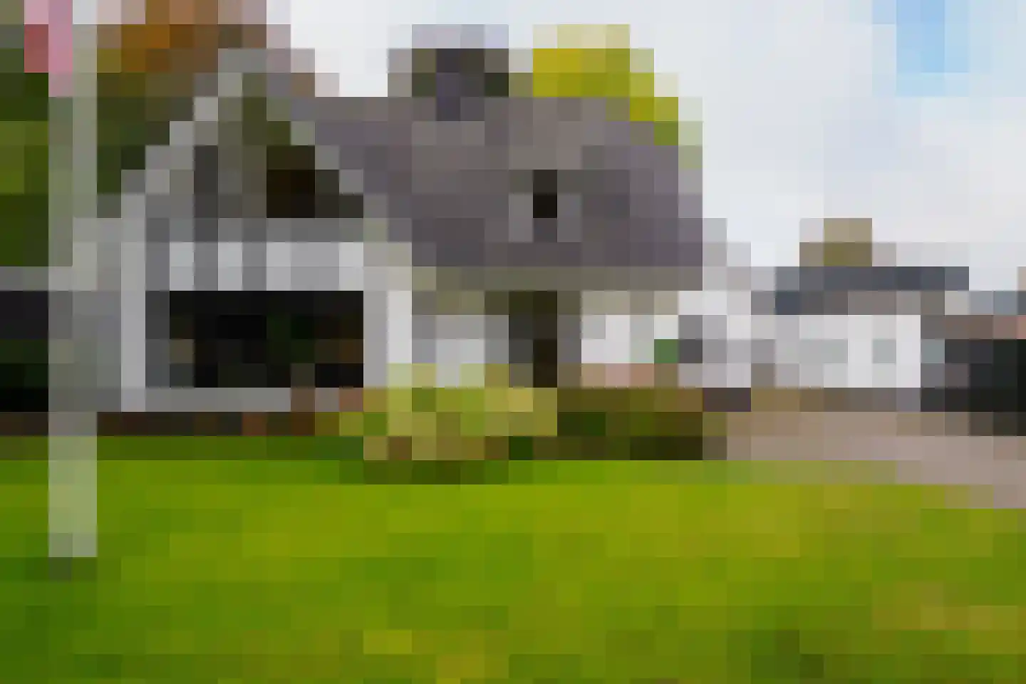 Gronausestraat 64 Losser thumbnail 53