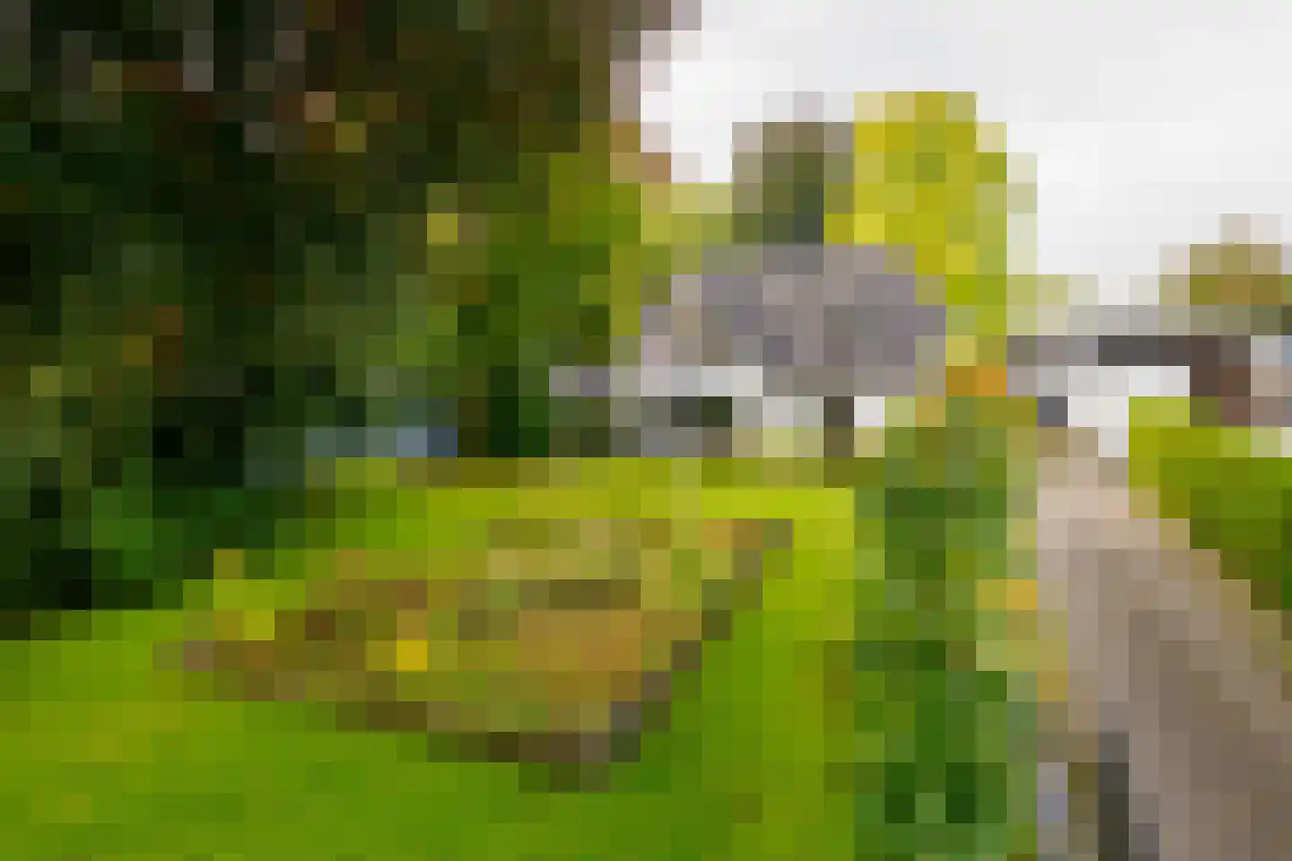 Gronausestraat 64 Losser thumbnail 55