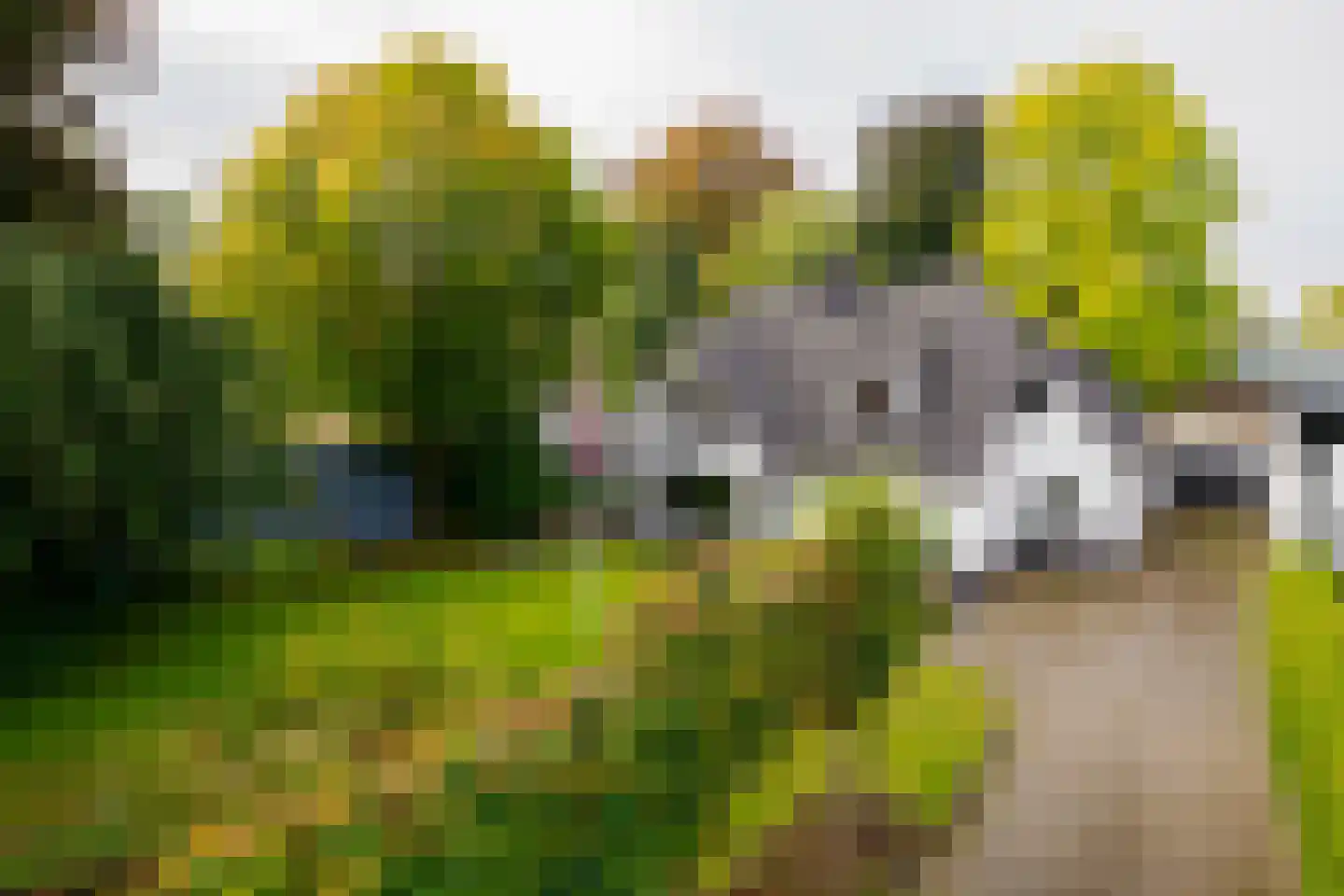 Gronausestraat 64 Losser thumbnail 57