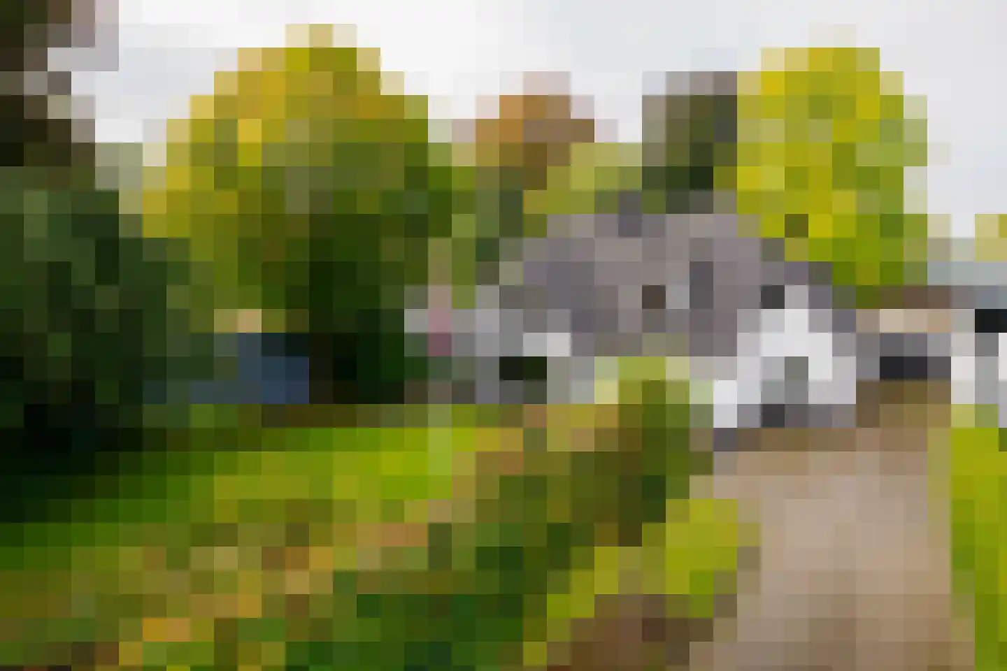 Gronausestraat 64 Losser thumbnail 58