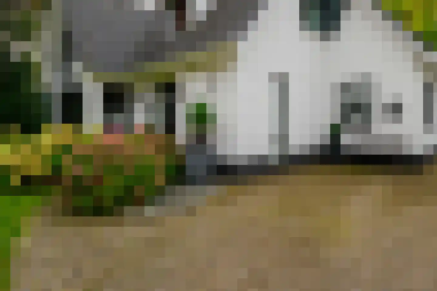 Gronausestraat 64 Losser thumbnail 62
