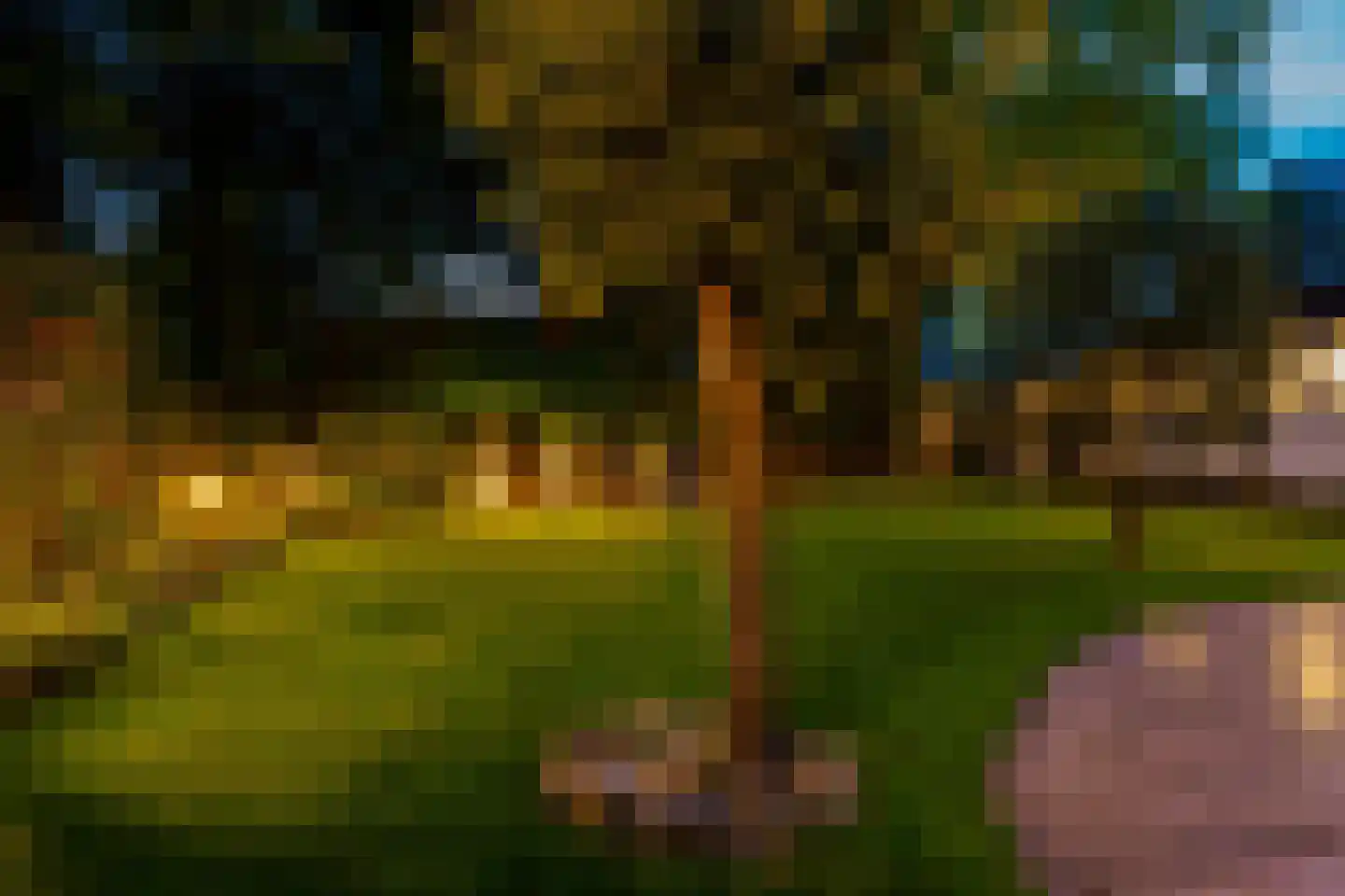 Gronausestraat 64 Losser thumbnail 69