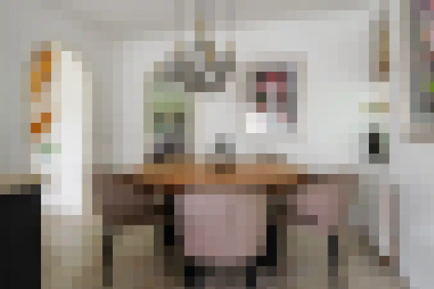 Gronausestraat 64 Losser thumbnail 8