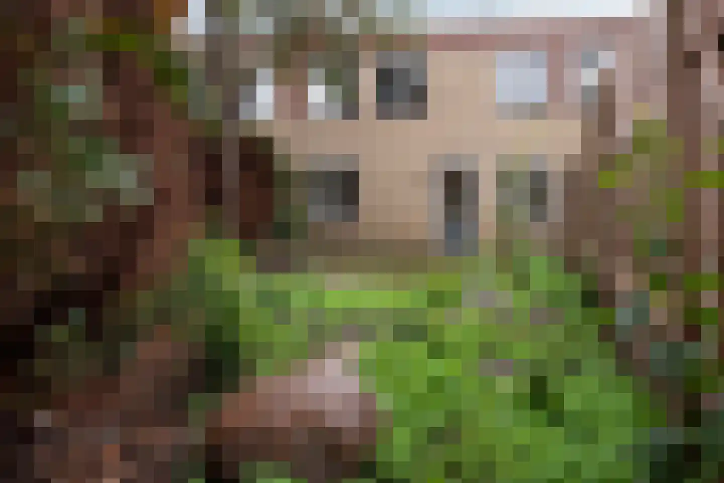 Gronausevoetpad 55 Enschede thumbnail 22