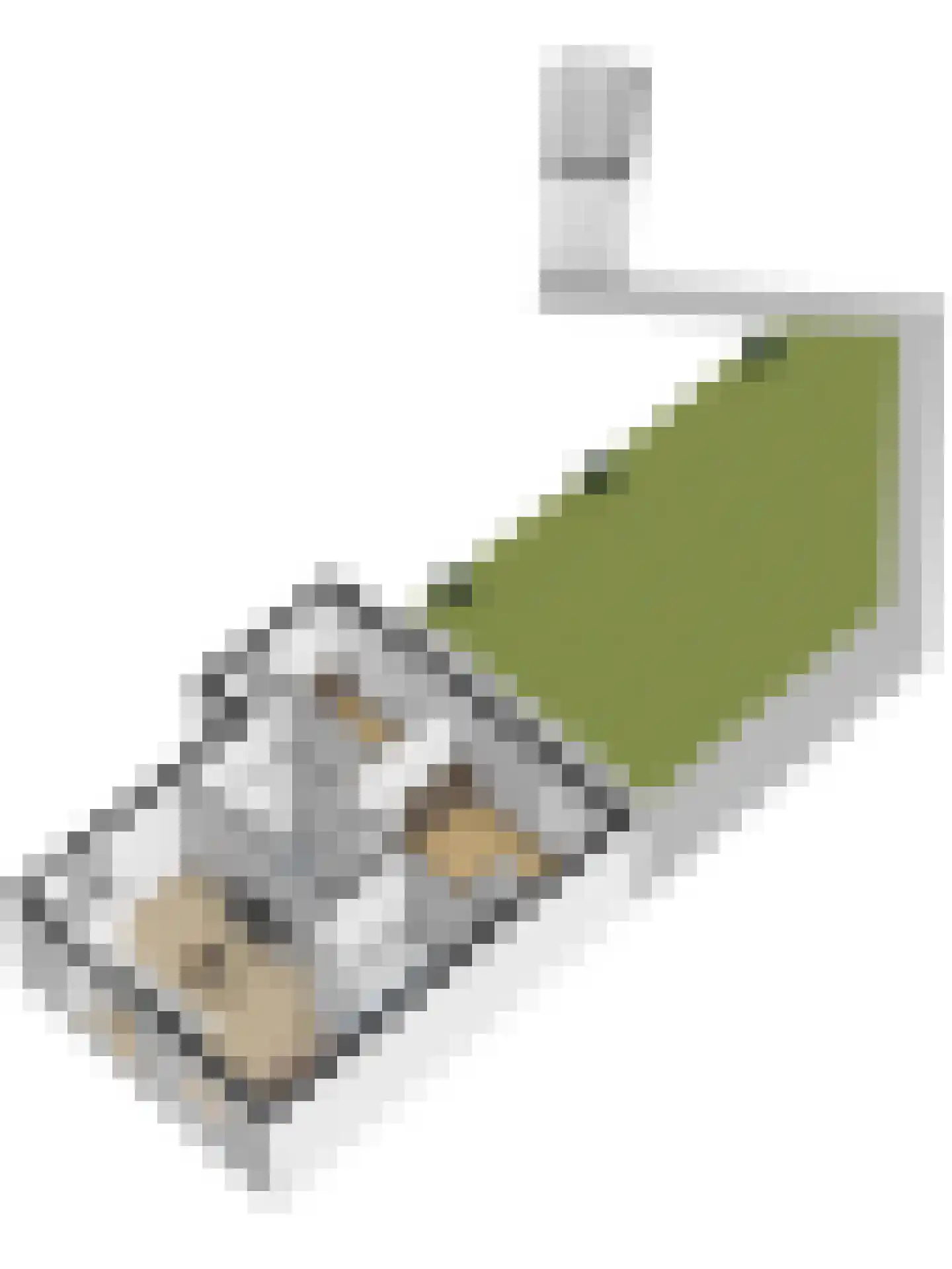 Gronausevoetpad 55 Enschede thumbnail 29
