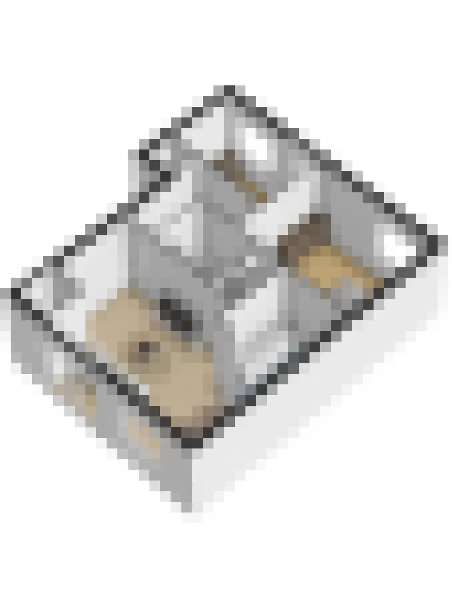 Gronausevoetpad 55 Enschede thumbnail 30