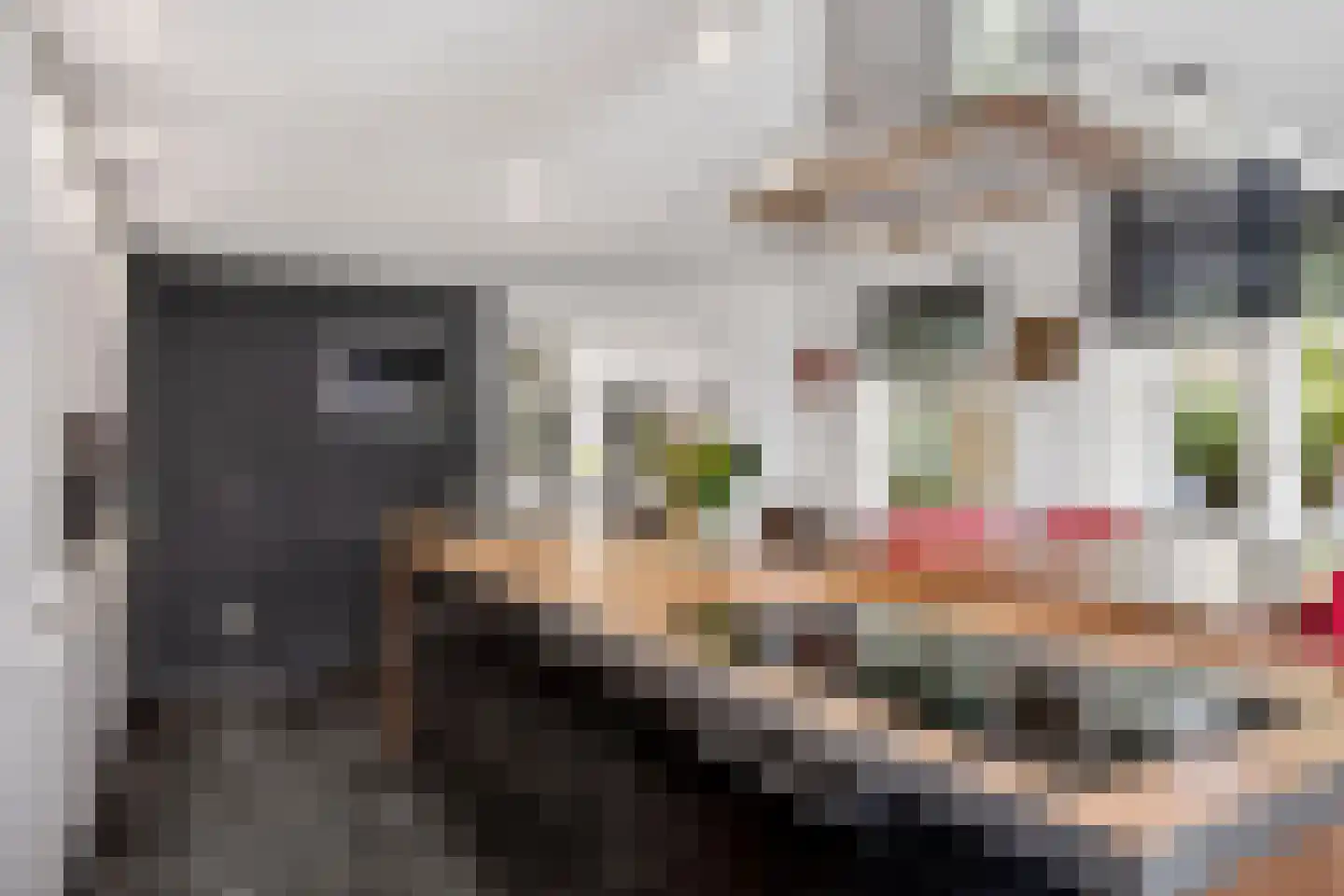 Gronaustraat 25 Hengelo thumbnail 17
