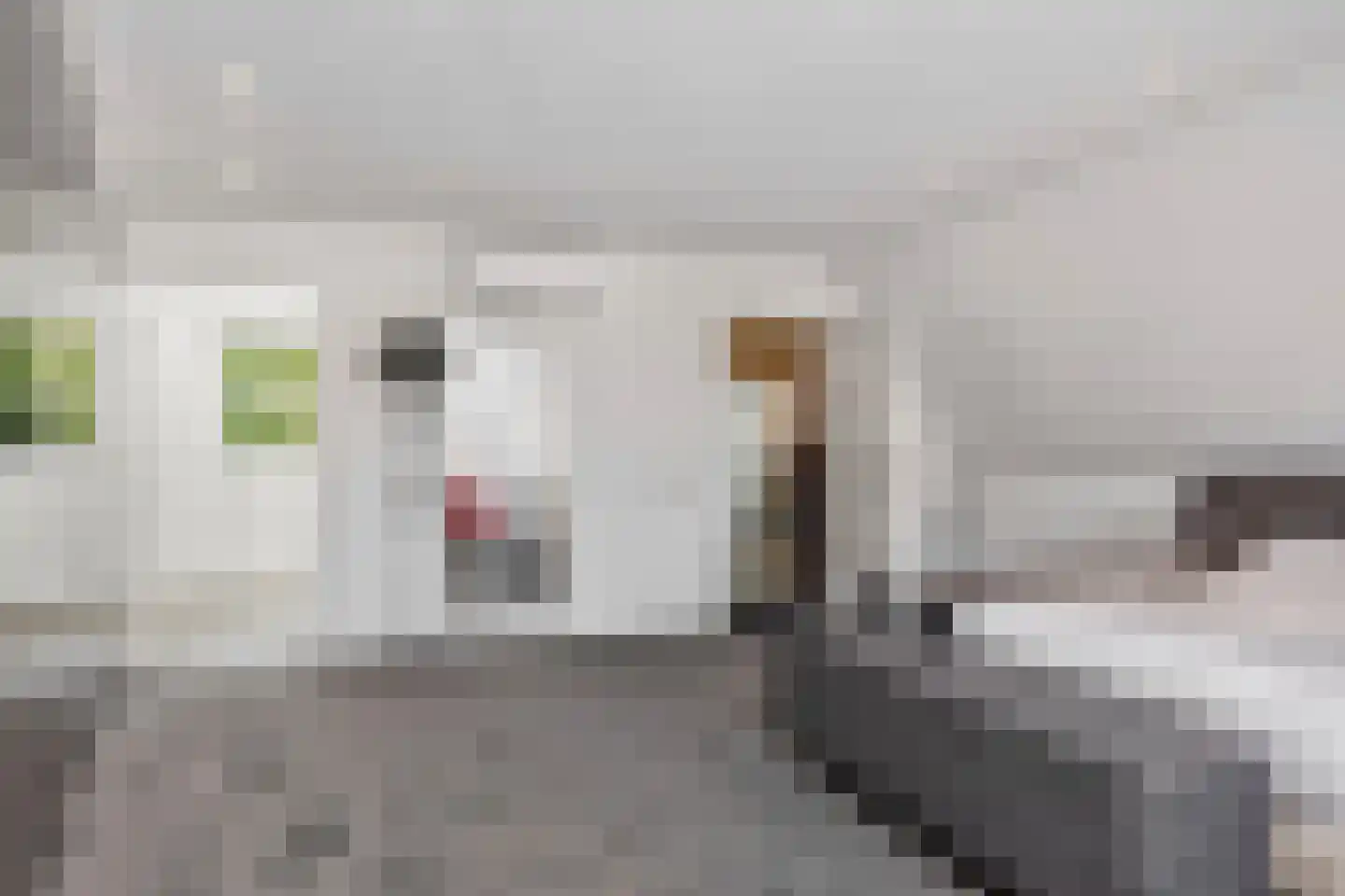 Gronaustraat 25 Hengelo thumbnail 21