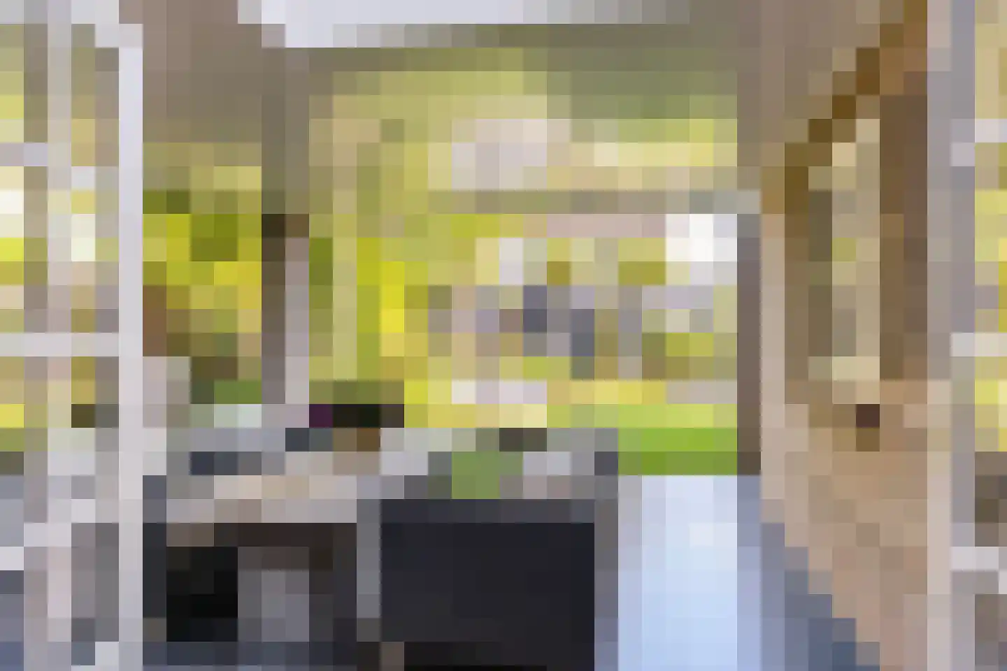 Gronaustraat 25 Hengelo thumbnail 31