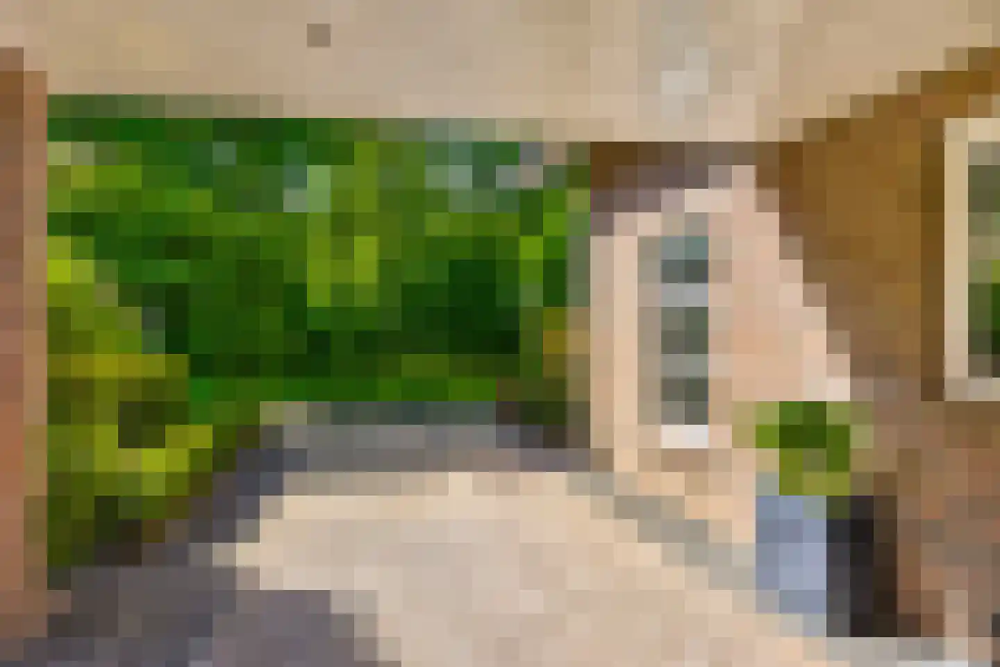Gronaustraat 25 Hengelo thumbnail 5