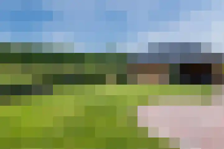 Gronddiep 17 Bellingwolde thumbnail 48