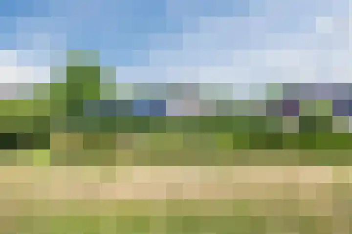 Gronddiep 17 Bellingwolde thumbnail 55