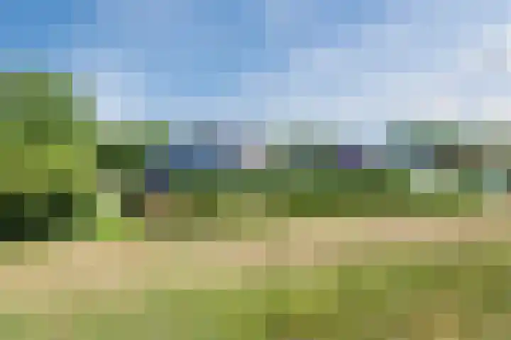 Gronddiep 17 Bellingwolde thumbnail 56