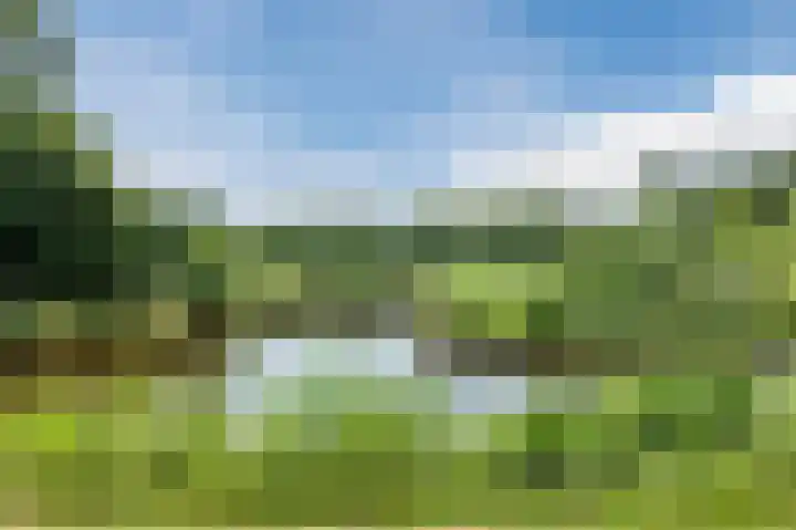 Gronddiep 17 Bellingwolde thumbnail 57