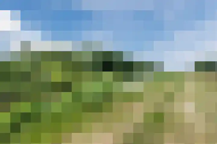 Gronddiep 17 Bellingwolde thumbnail 58