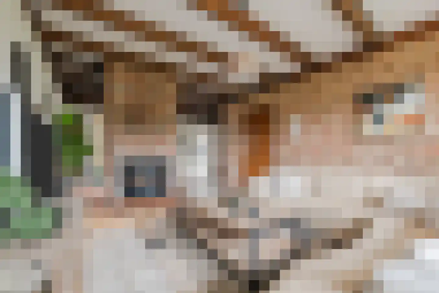 Gronddiep 44 Bellingwolde thumbnail 11