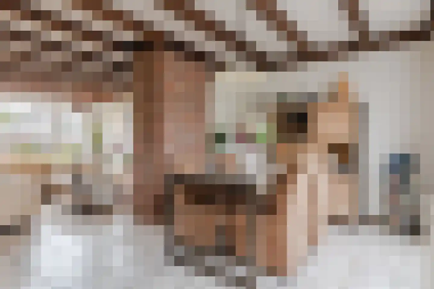 Gronddiep 44 Bellingwolde thumbnail 14