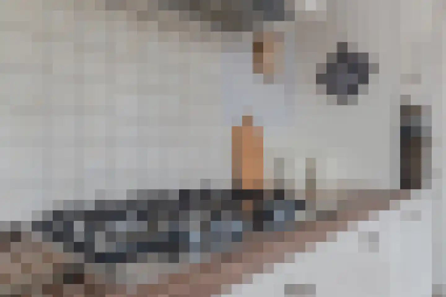 Gronddiep 44 Bellingwolde thumbnail 19