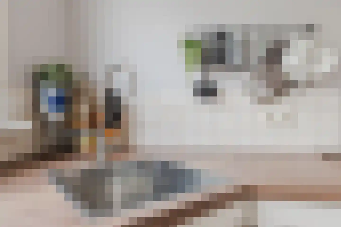 Gronddiep 44 Bellingwolde thumbnail 20