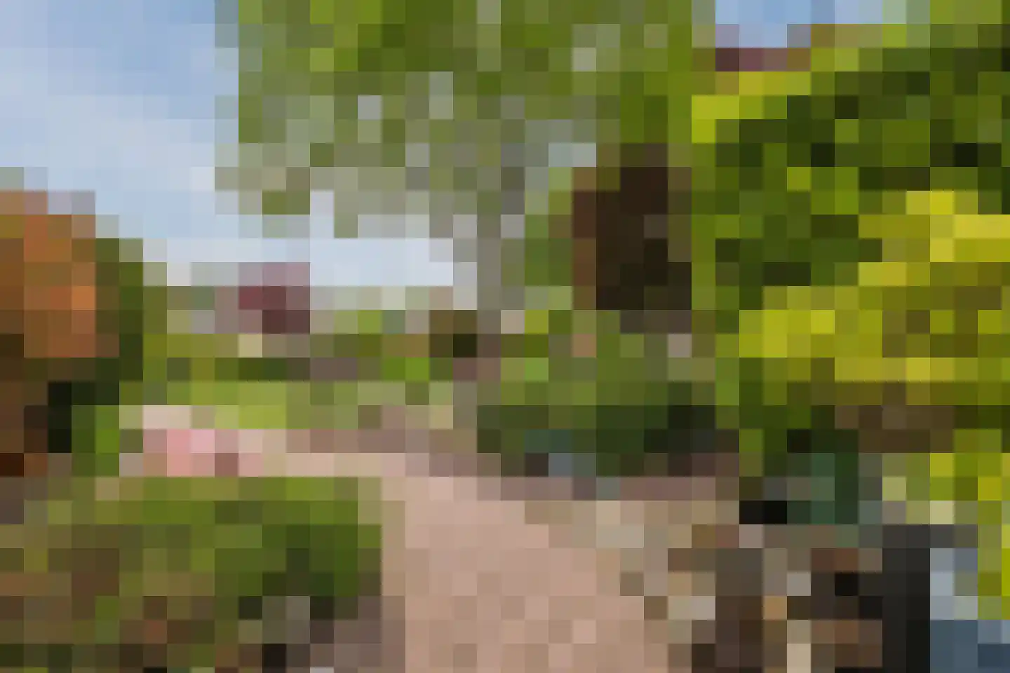 Gronddiep 44 Bellingwolde thumbnail 4