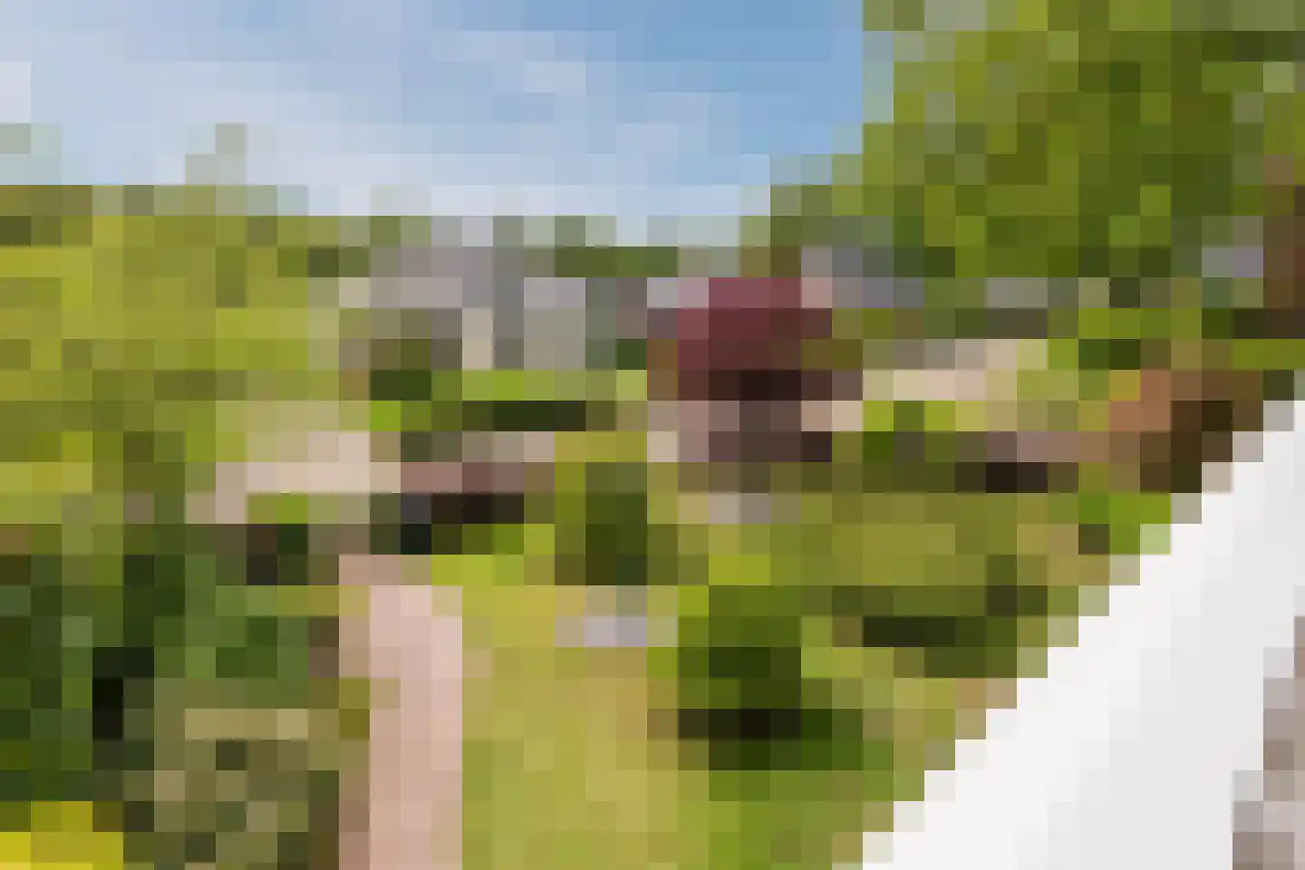 Gronddiep 44 Bellingwolde thumbnail 45