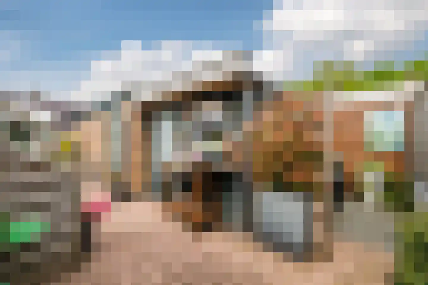 Gronddiep 44 Bellingwolde thumbnail 50
