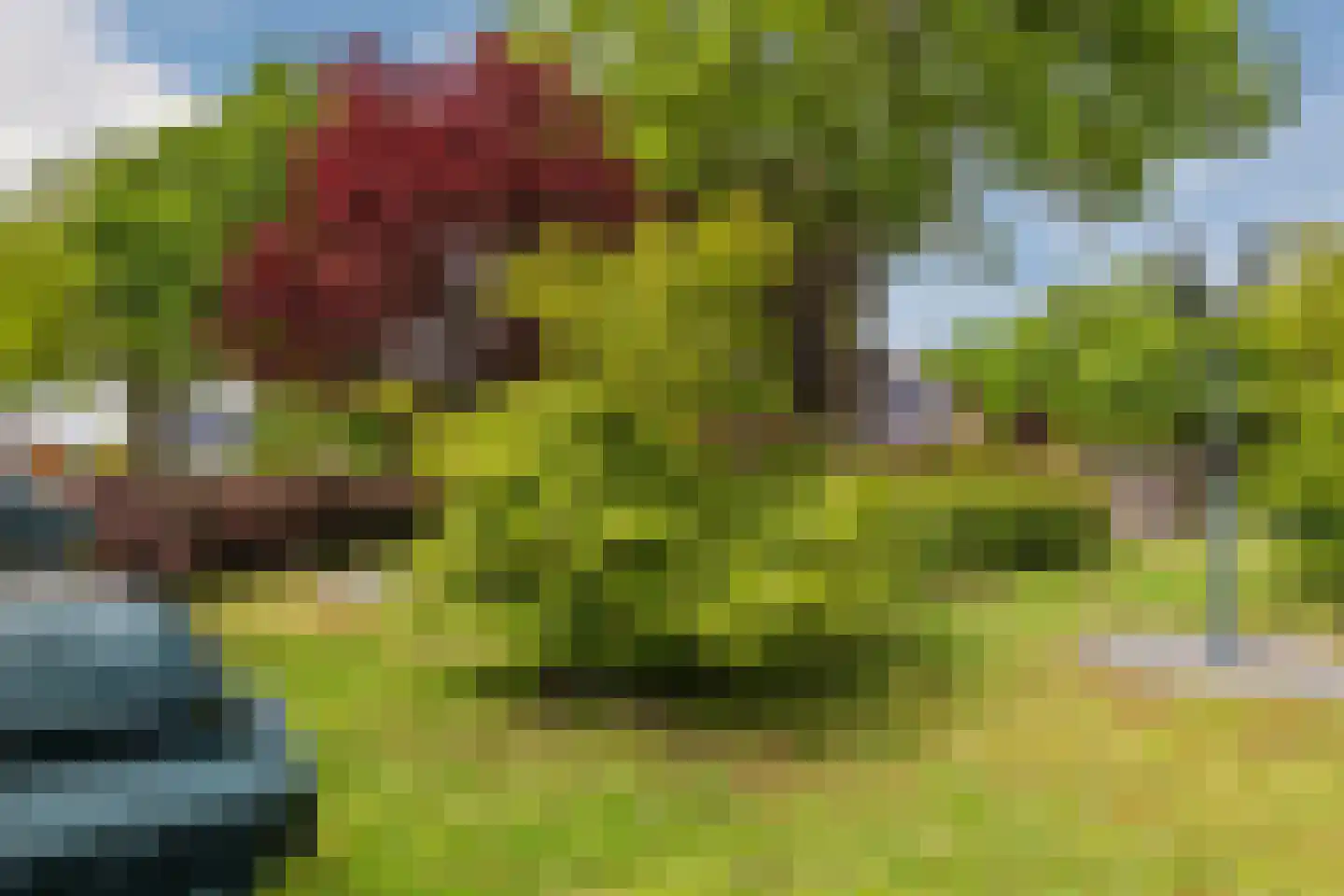 Gronddiep 44 Bellingwolde thumbnail 6