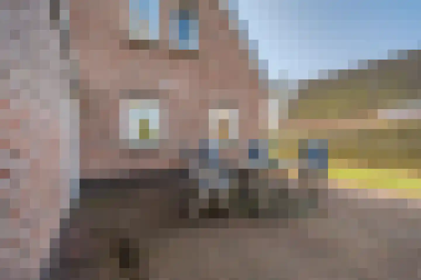 Gronddiep 59 Bellingwolde thumbnail 36