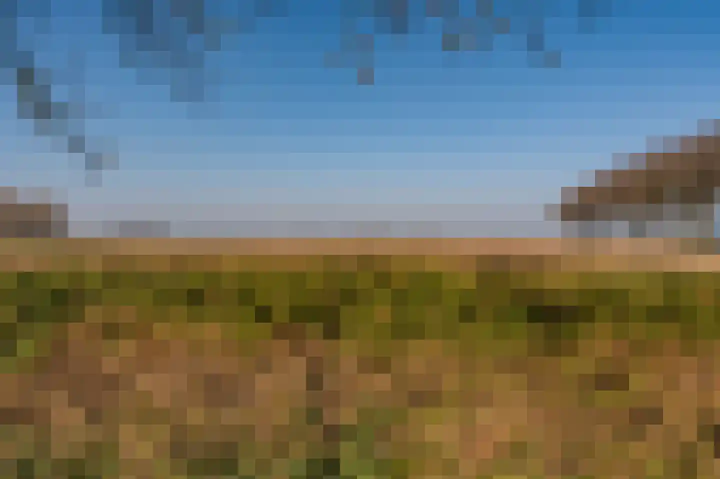 Gronddiep 59 Bellingwolde thumbnail 39
