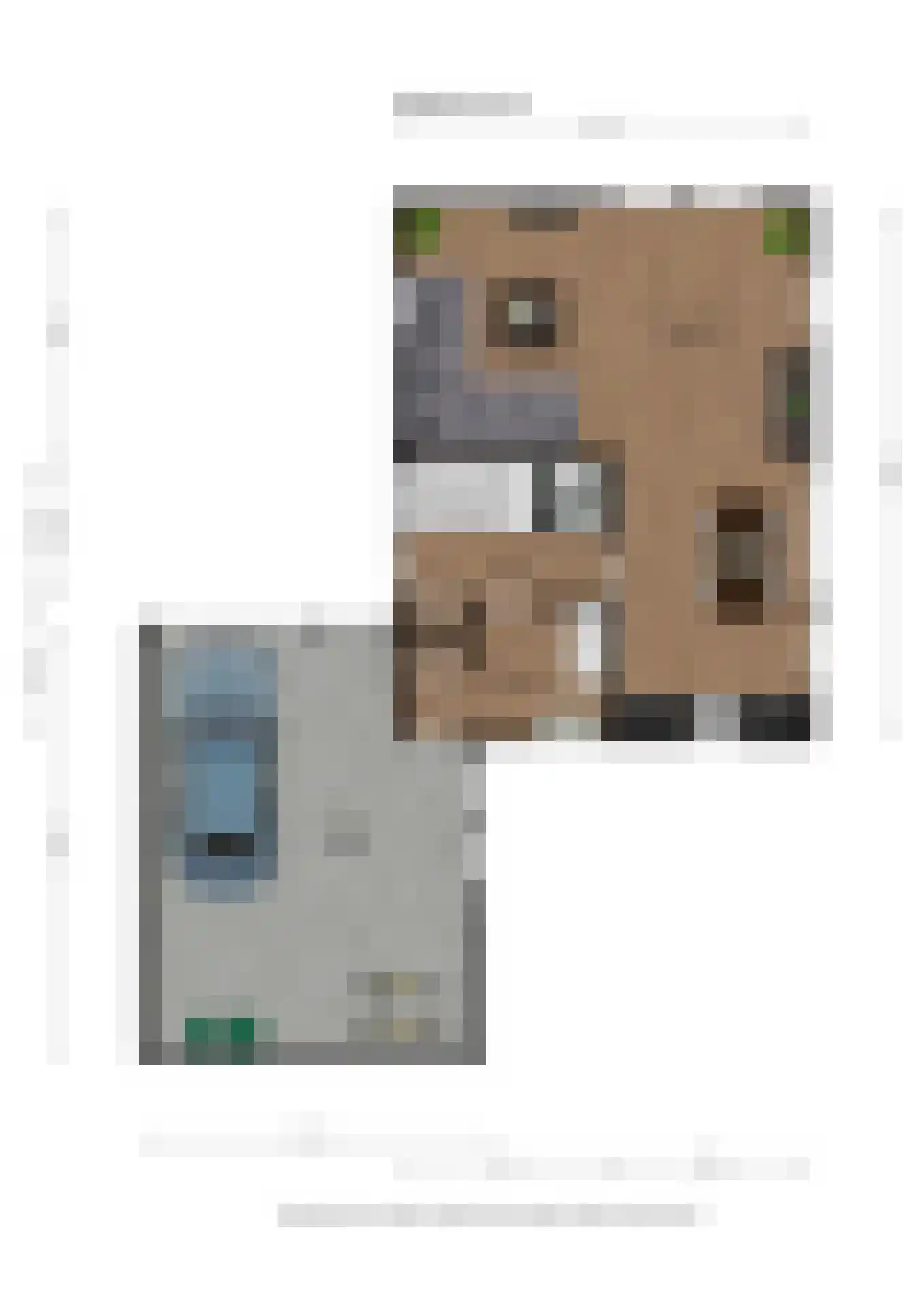 Gronddiep 59 Bellingwolde thumbnail 47