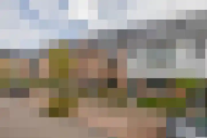 Grondel 21 Waddinxveen