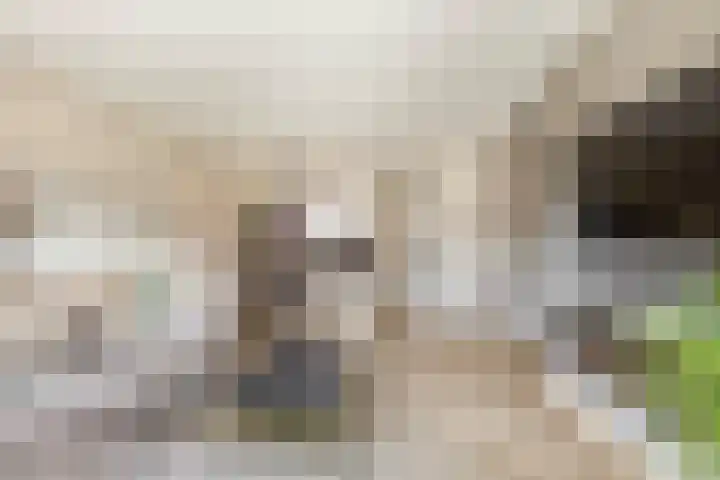 Grondel 21 Waddinxveen thumbnail 12