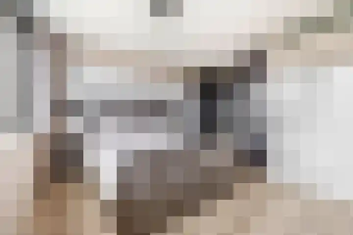 Grondel 21 Waddinxveen thumbnail 20