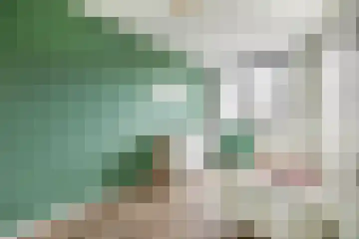 Grondel 21 Waddinxveen thumbnail 25