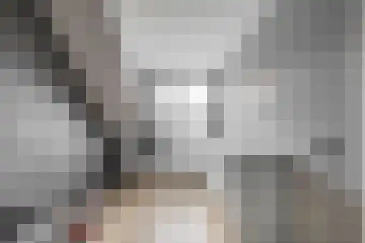 Grondel 21 Waddinxveen thumbnail 28