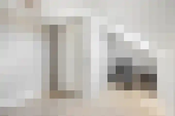 Grondel 21 Waddinxveen thumbnail 30
